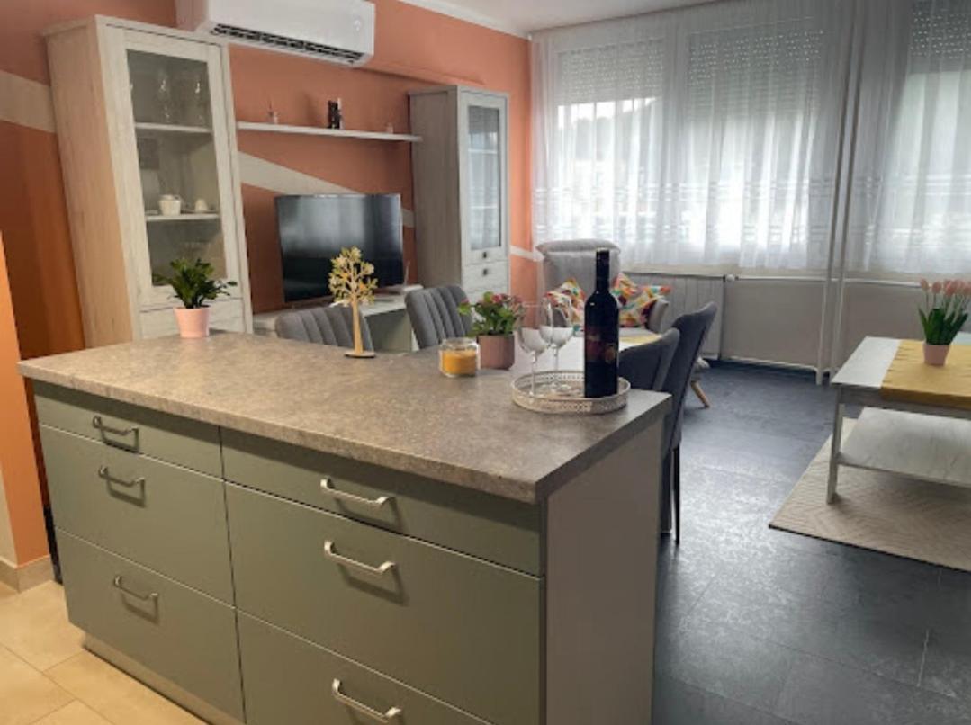 Апартаменти Krisztina Apartman Шалґотар'ян Екстер'єр фото